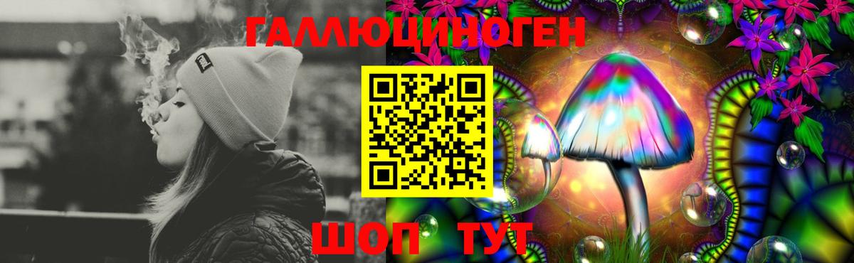 купить  цена  Псилоцибиновые грибы прущие грибы  Вход с VPN  Моздок 